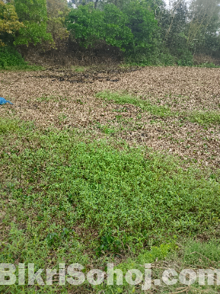 জমি বিক্রি